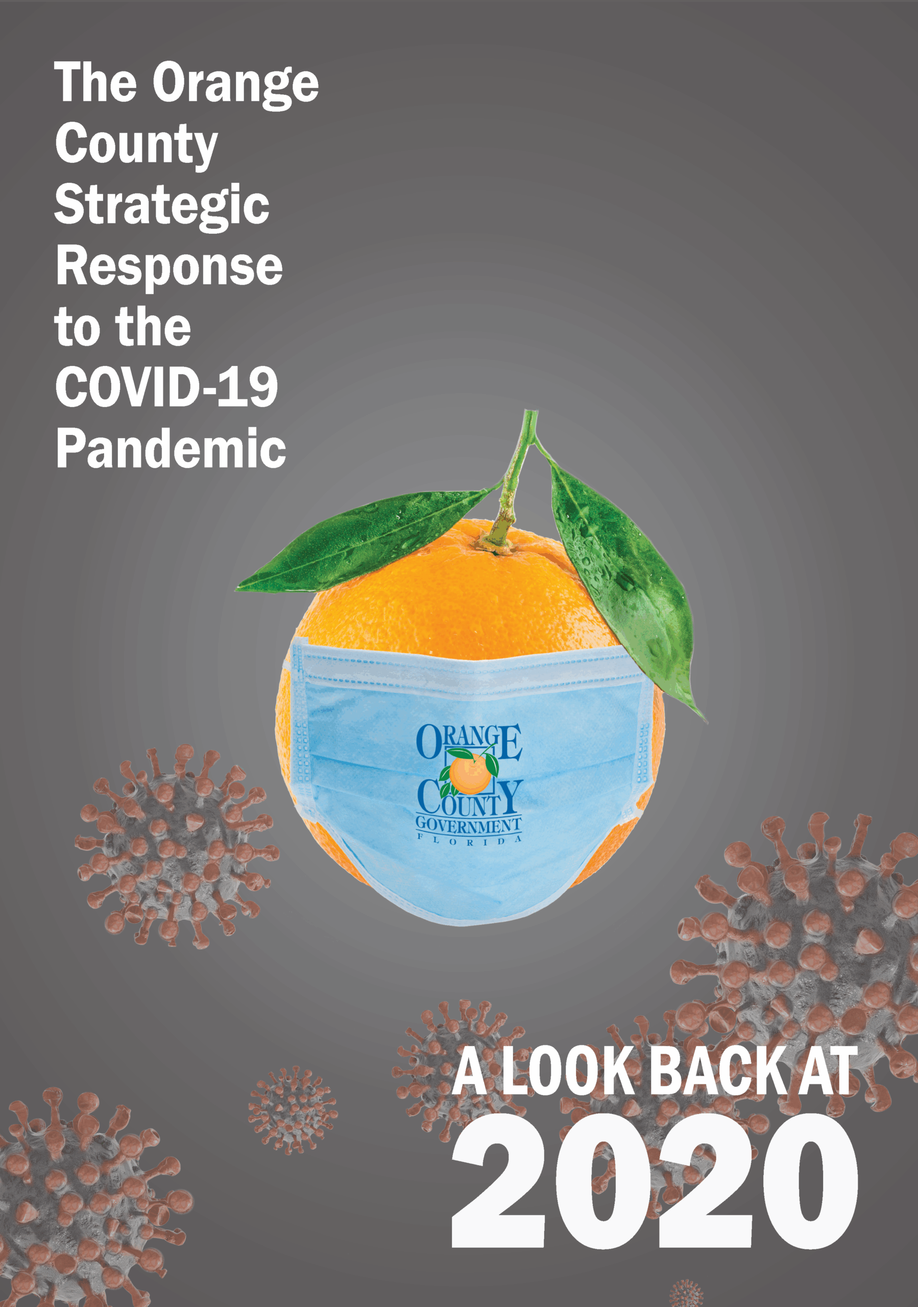 Orange County Strategic Response to the COVID-19 Pandemic